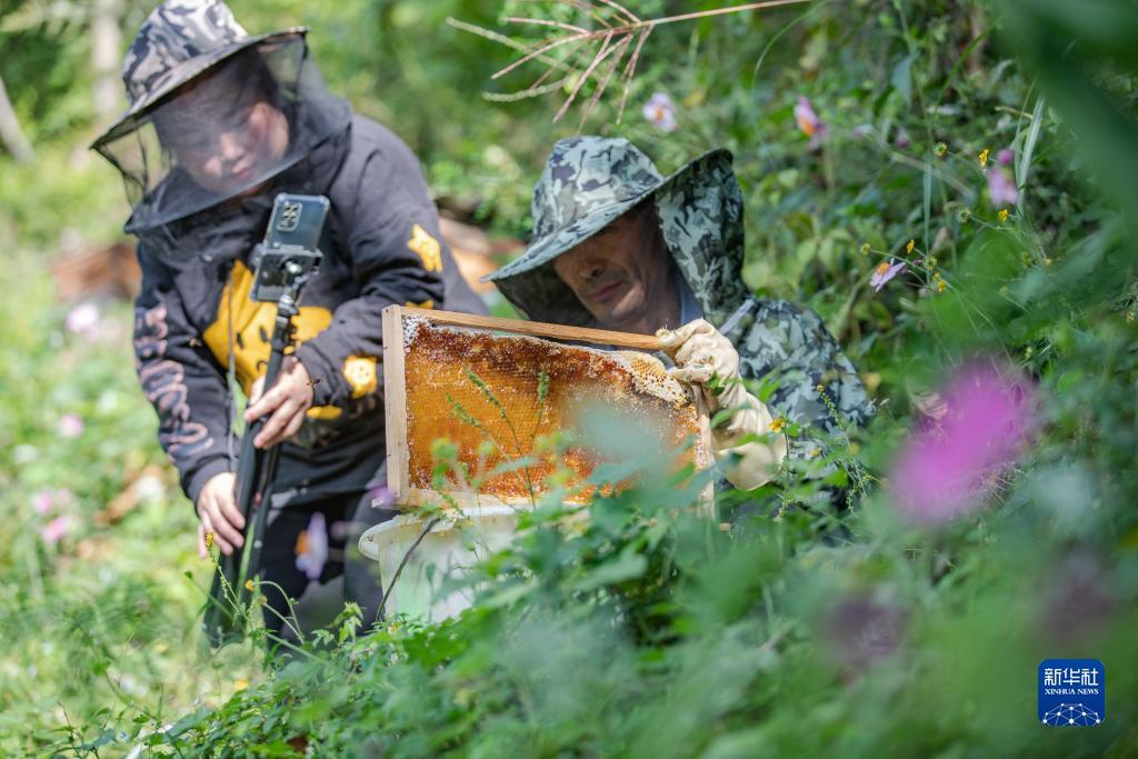 永利棋牌网站